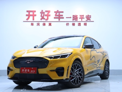 2024年1月 福特 Mustang Mach-E(进口) GT风暴版图片