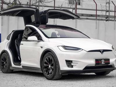 2019年10月 特斯拉 Model X 長續(xù)航版圖片