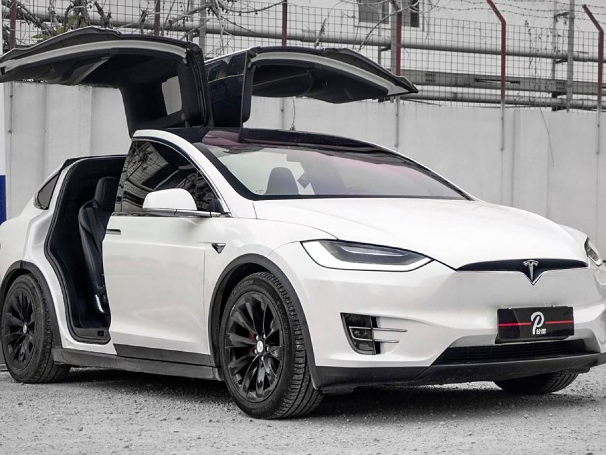 2019年10月特斯拉 Model X  2019款 長續(xù)航版