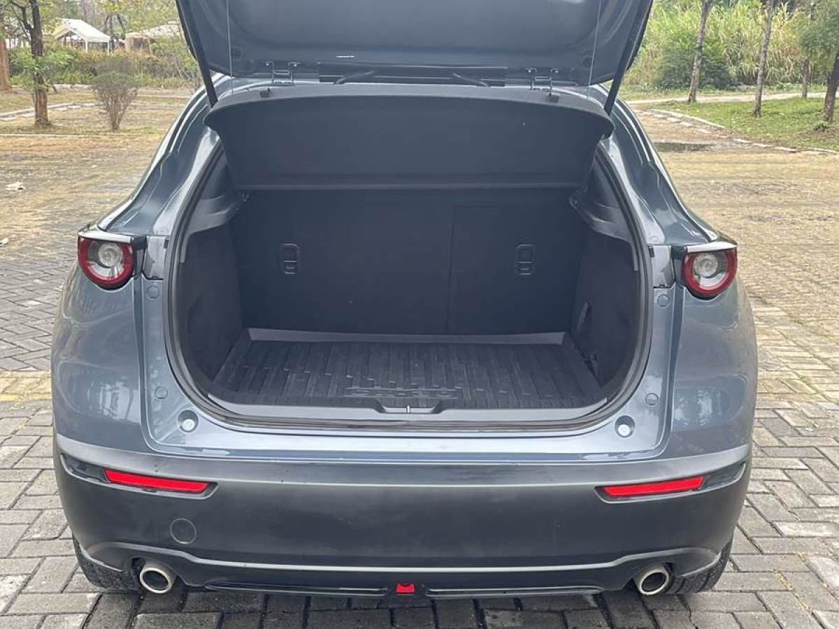 馬自達(dá) CX-30  2020款 2.0L 自動質(zhì)悅型圖片