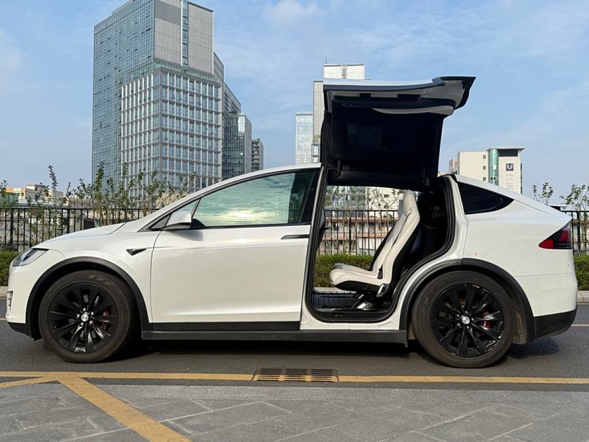 特斯拉 Model X  2017款 Model X 100D 長續(xù)航版圖片