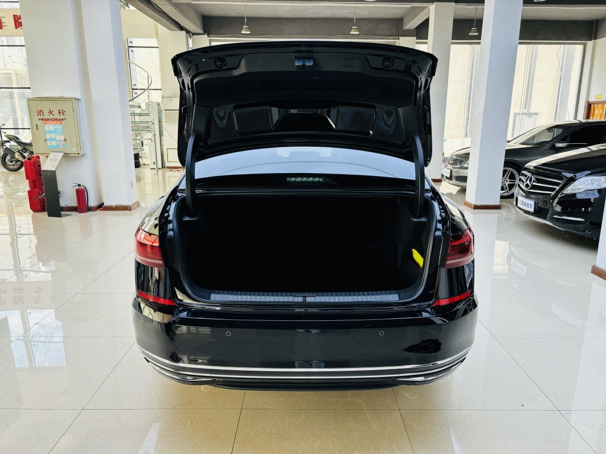 大眾 帕薩特  2025款 出眾款 380TSI 星空龍騰版圖片