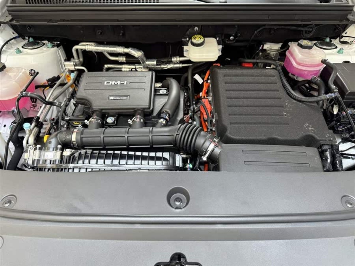 比亞迪 海獅05 DM-i  2025款 DM-i 75KM尊貴型圖片