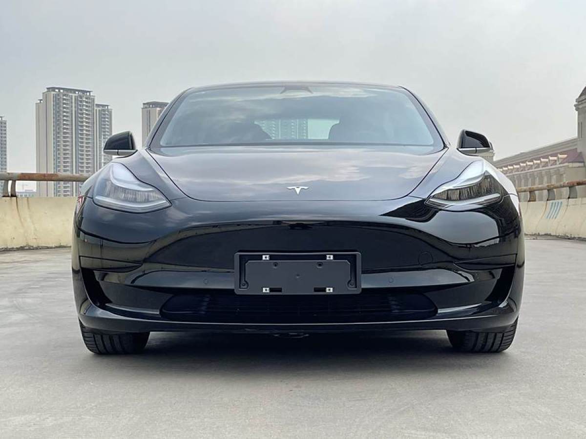 特斯拉 Model 3  2020款 改款 標(biāo)準(zhǔn)續(xù)航后驅(qū)升級(jí)版圖片