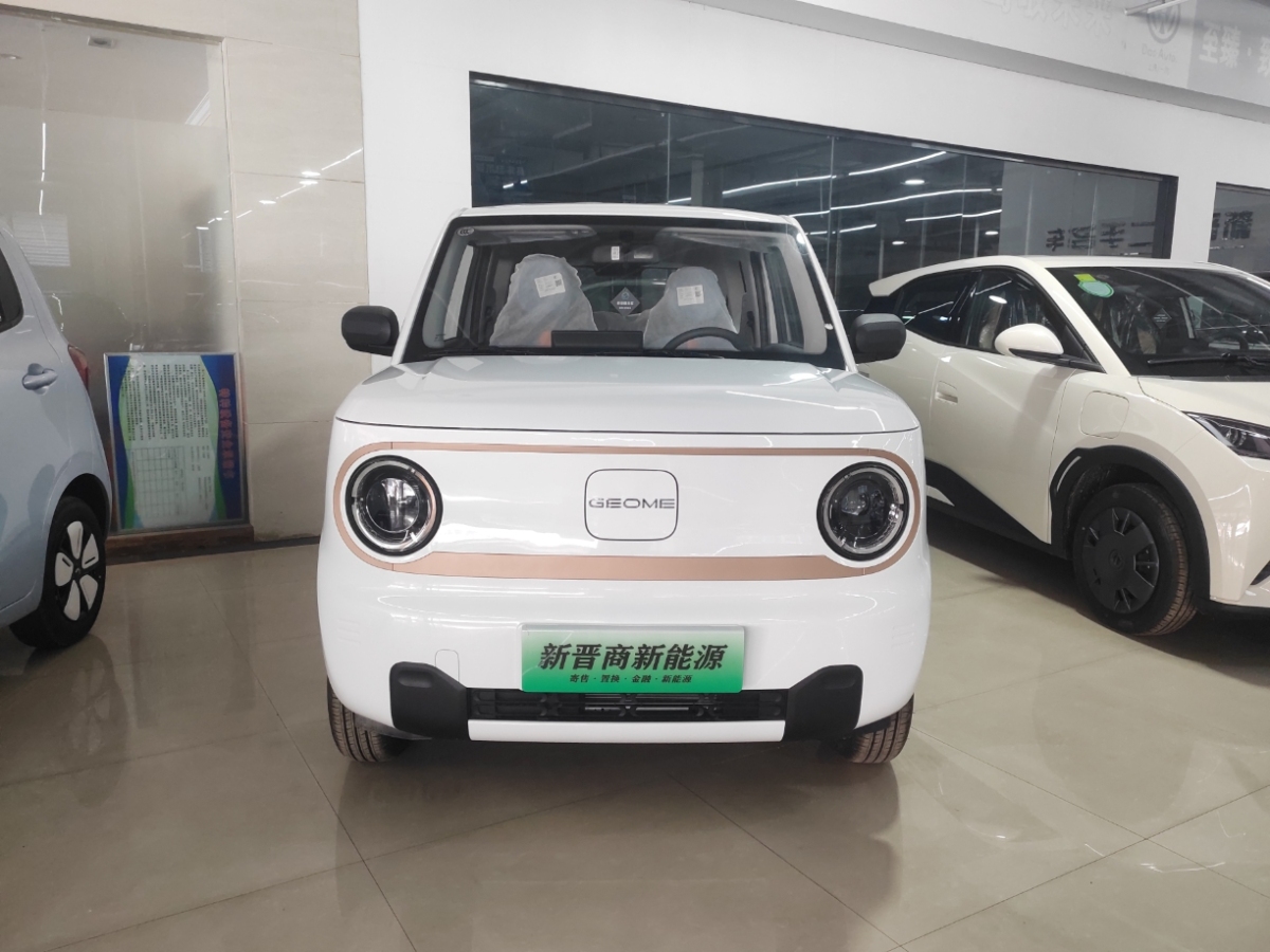 2024年12月吉利 熊貓mini  2023款 200km 耐力熊