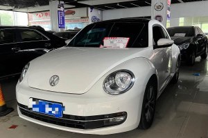 甲殼蟲(chóng) 大眾 1.4TSI 豪華型