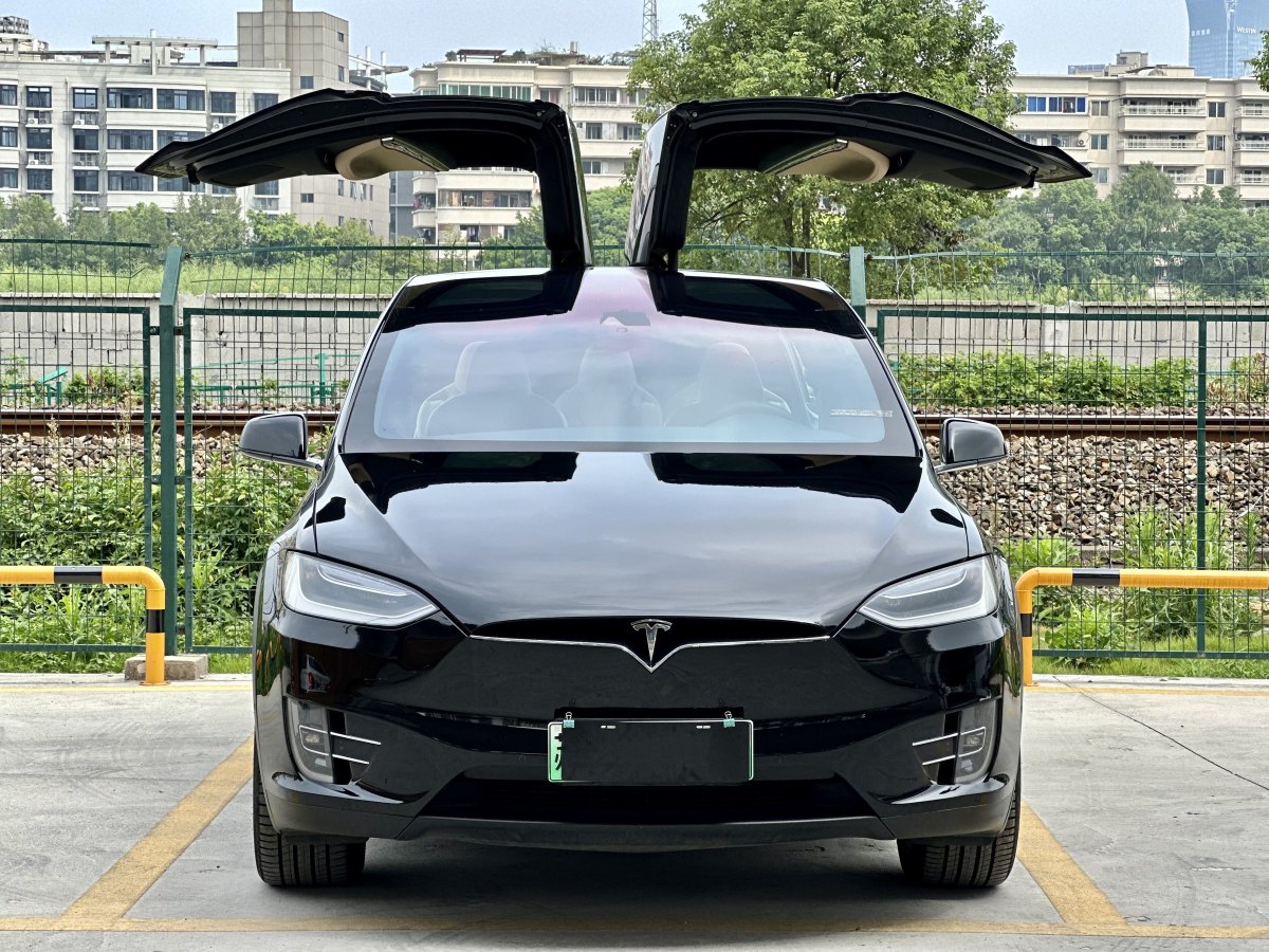 特斯拉 Model X  2016款 Model X 90D图片