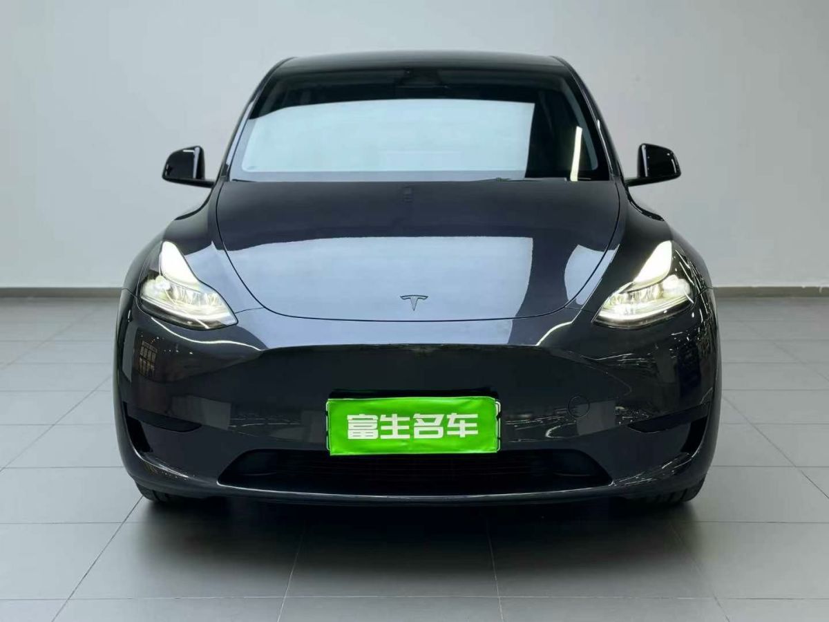 特斯拉 Model Y  2024款 Performance高性能版圖片