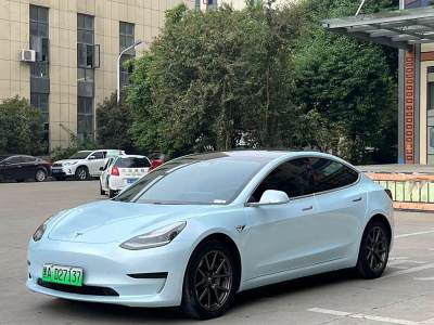 2020年6月 特斯拉 Model 3 標(biāo)準(zhǔn)續(xù)航后驅(qū)升級(jí)版圖片