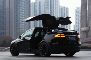 Model X 特斯拉 Model X P90D