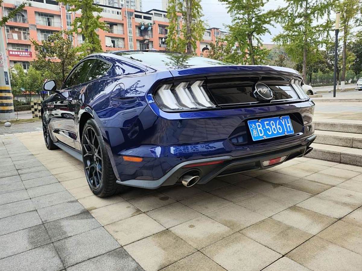 福特 Mustang  2020款 2.3L EcoBoost圖片