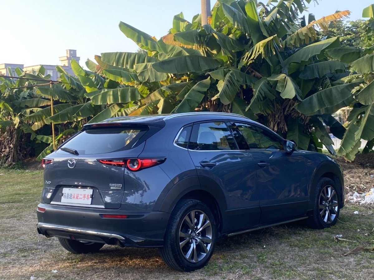 馬自達(dá) CX-30  2020款 2.0L X壓燃尊榮型圖片