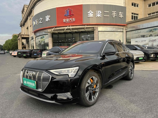 奥迪 奥迪Q7新能源  2019款 55 e-tron