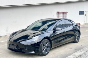 Model 3 特斯拉 标准续航后驱升级版