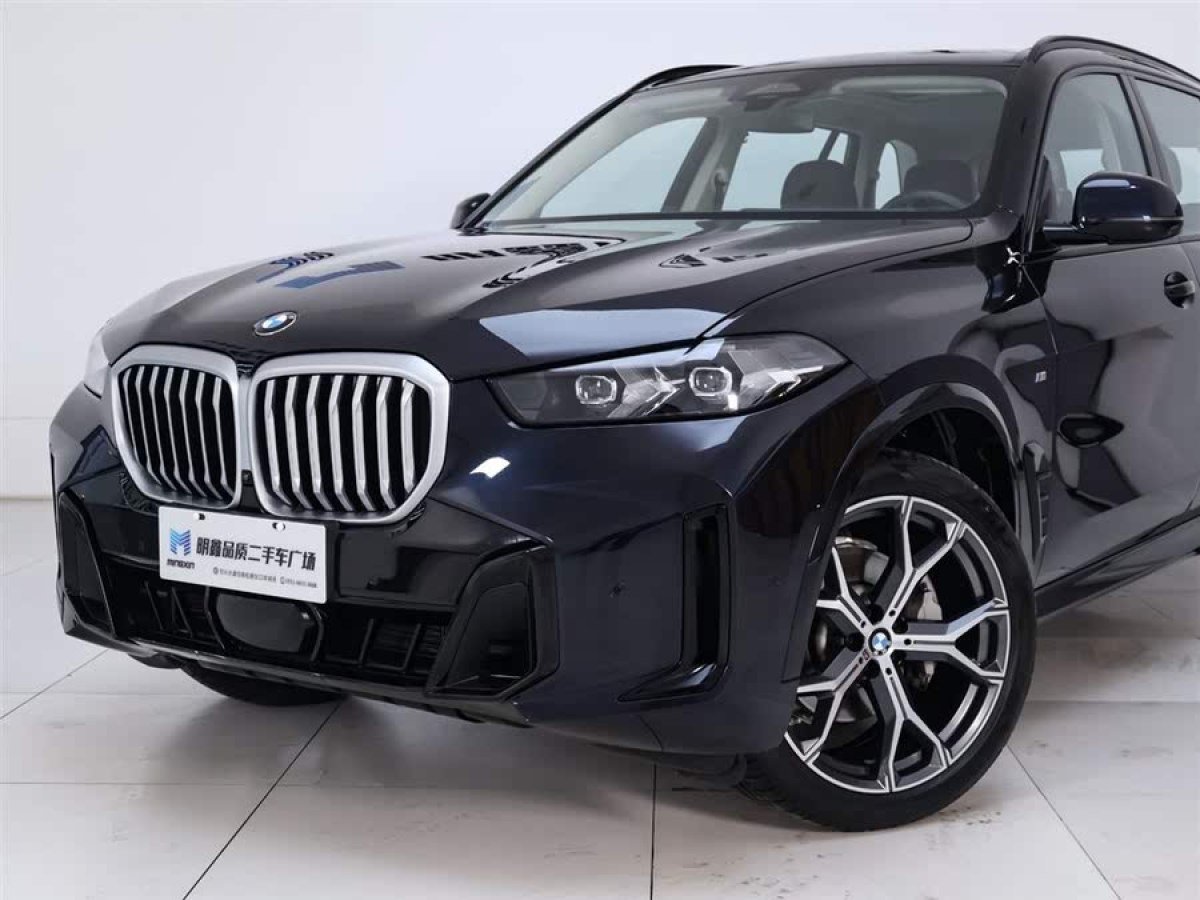 寶馬 寶馬X5  2023款 xDrive 30Li 尊享型M運(yùn)動(dòng)曜夜套裝圖片