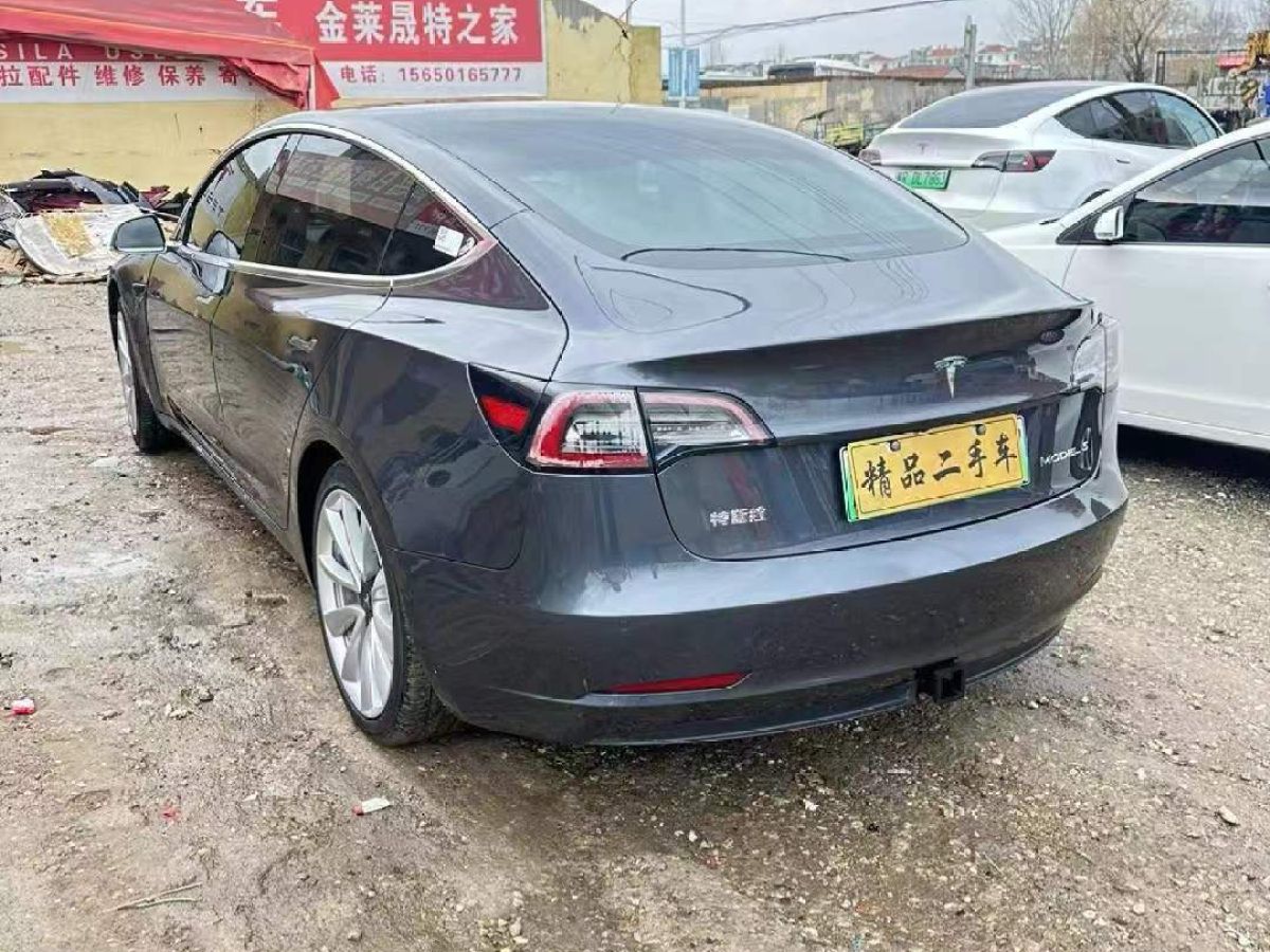 特斯拉 Model 3  2020款 Performance高性能全輪驅(qū)動版圖片