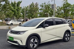 海豚 比亞迪 420km 自由版