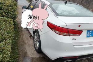 K5新能源 起亚 2.0L LUX