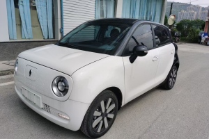 歐拉黑貓 歐拉 2021款 351km 豪華型