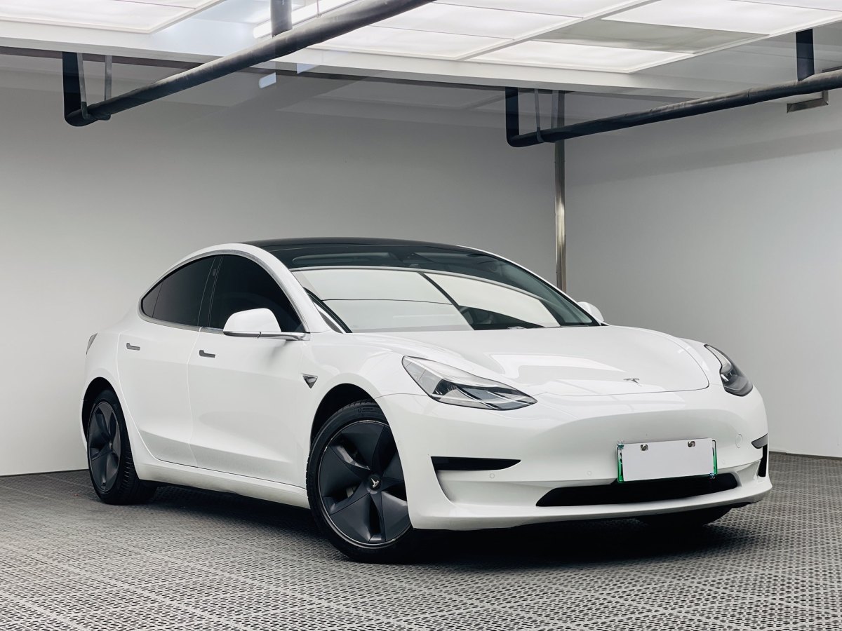 特斯拉 Model 3  2019款 標(biāo)準(zhǔn)續(xù)航后驅(qū)升級(jí)版圖片