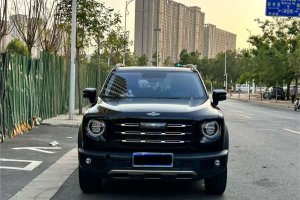 哈弗大狗 哈弗 1.5T DCT兩驅(qū)拉布拉多版