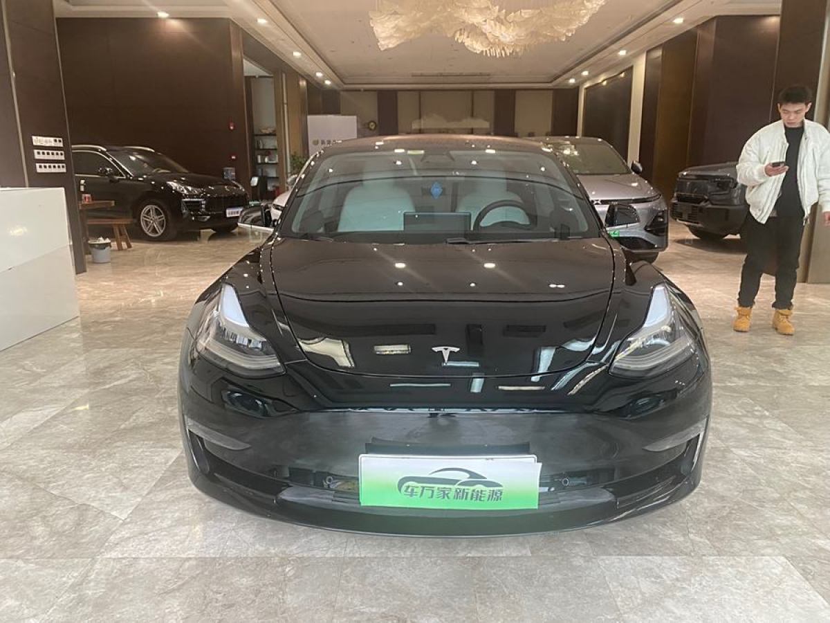 特斯拉 Model 3  2019款 長續(xù)航后驅(qū)版圖片