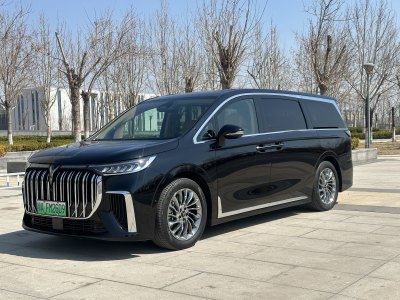 2023年10月 嵐圖 夢(mèng)想家 PHEV 超長(zhǎng)續(xù)航旗艦版圖片