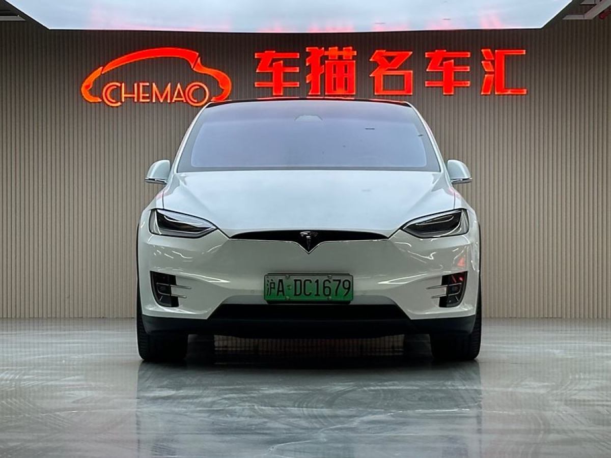 特斯拉 Model X  2016款 Model X 75D圖片