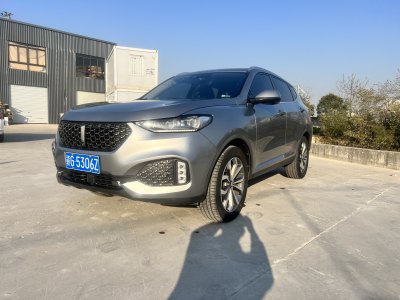 2020年3月 WEY VV6 2.0T 兩驅(qū)智享+圖片