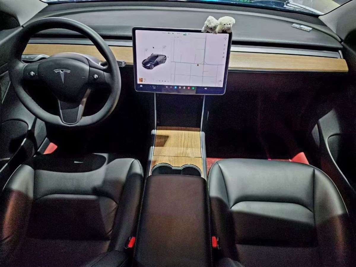 特斯拉 Model 3  2019款 標(biāo)準(zhǔn)續(xù)航后驅(qū)升級版圖片