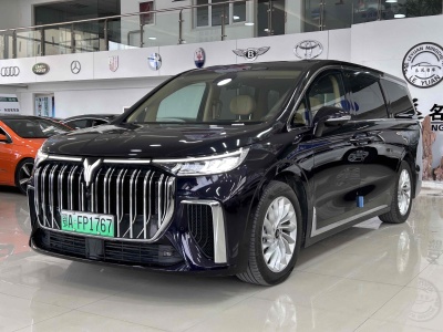 2024年8月 嵐圖 夢想家 PHEV 超長續(xù)航尊貴版圖片