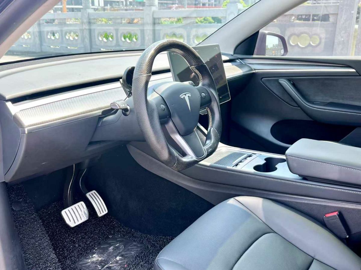 特斯拉 Model Y  2022款 Performance高性能全輪驅(qū)動版圖片