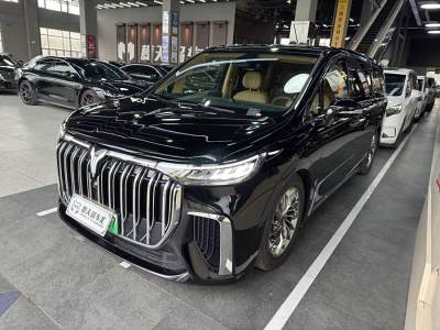 2024年1月 嵐圖 夢想家 PHEV 超長續(xù)航旗艦版圖片