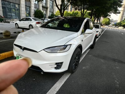 2021年1月 特斯拉 Model X 长续航升级版图片