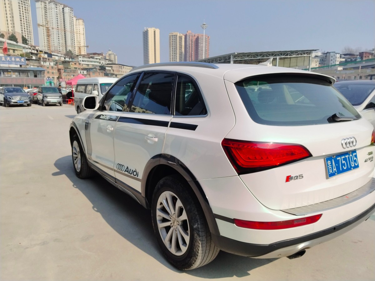 奧迪 奧迪Q5  2013款 40 TFSI 技術(shù)型圖片