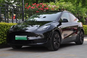 Model Y 特斯拉 后輪驅(qū)動(dòng)版
