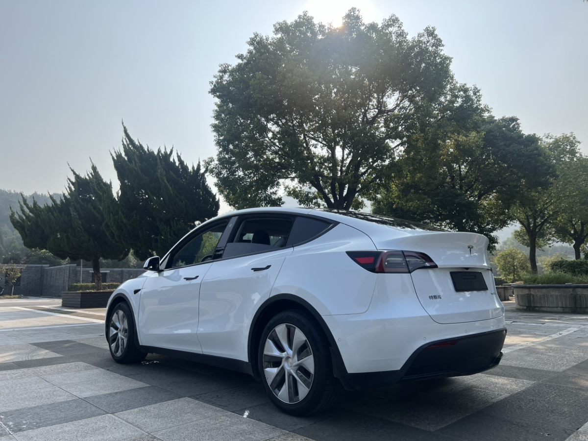 特斯拉 Model Y  2021款 改款 標(biāo)準(zhǔn)續(xù)航后驅(qū)升級版圖片