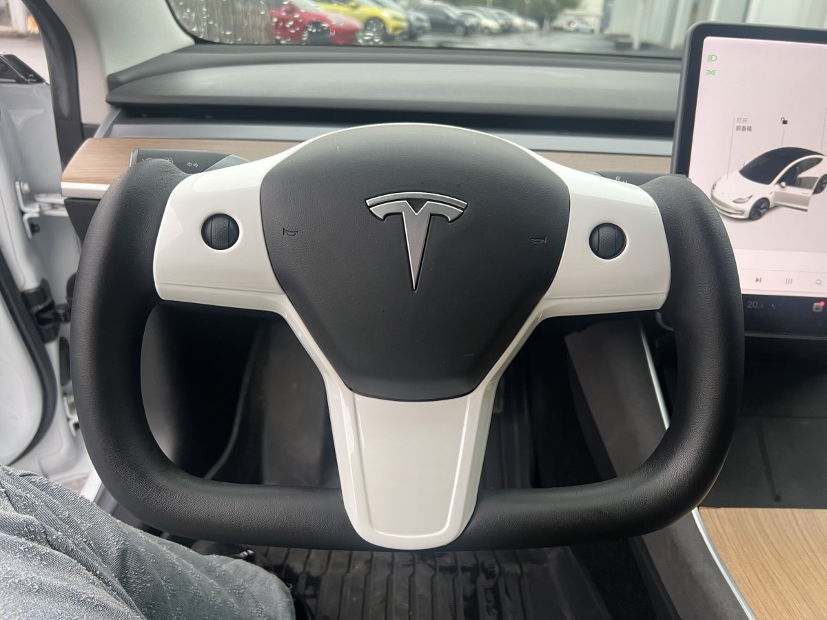 特斯拉 Model 3  2019款 標準續(xù)航后驅(qū)升級版圖片