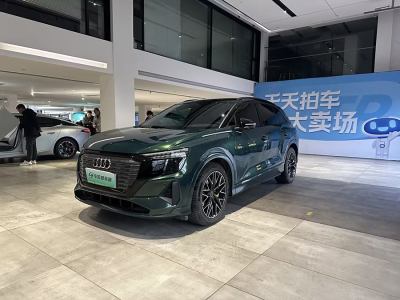 2022年10月 奧迪 奧迪Q5 e-tron 40 e-tron 星耀型 機(jī)甲套裝圖片