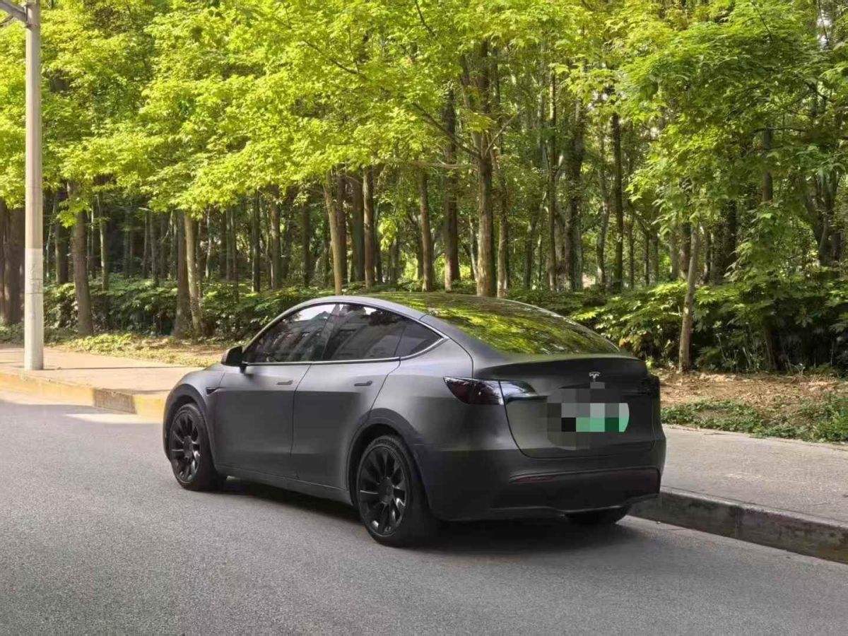 特斯拉 Model S  2021款 Performance 高性能版圖片