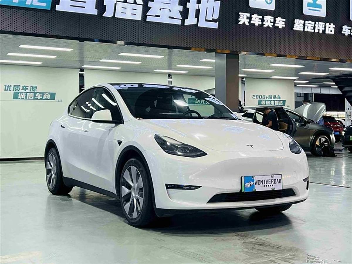 2023年1月特斯拉 Model Y  2022款 后輪驅(qū)動(dòng)版