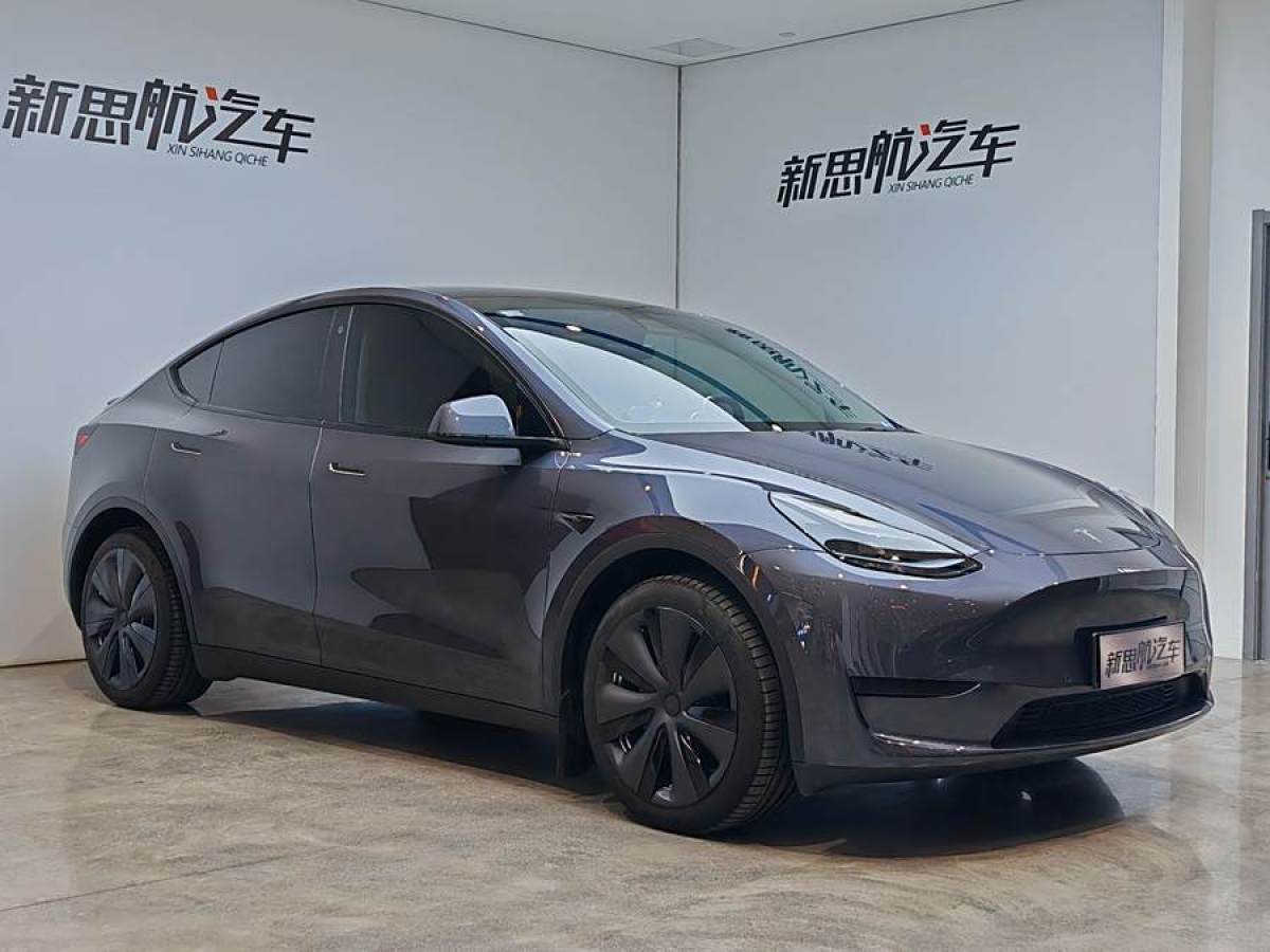 特斯拉 Model 3  2020款 改款 長續(xù)航后輪驅(qū)動(dòng)版圖片