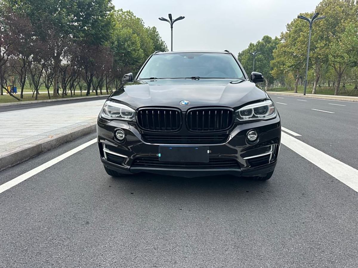 寶馬 寶馬X5  2014款 xDrive35i 典雅型圖片