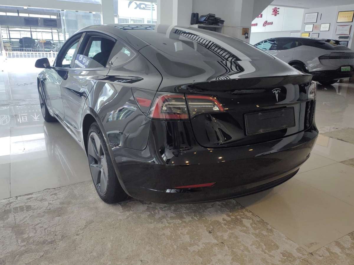 特斯拉 Model 3  2021款 標(biāo)準(zhǔn)續(xù)航后驅(qū)升級(jí)版 3D6圖片