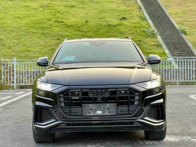 2021年1月 奧迪 奧迪SQ5(進(jìn)口) 3.0 TFSI quattro圖片