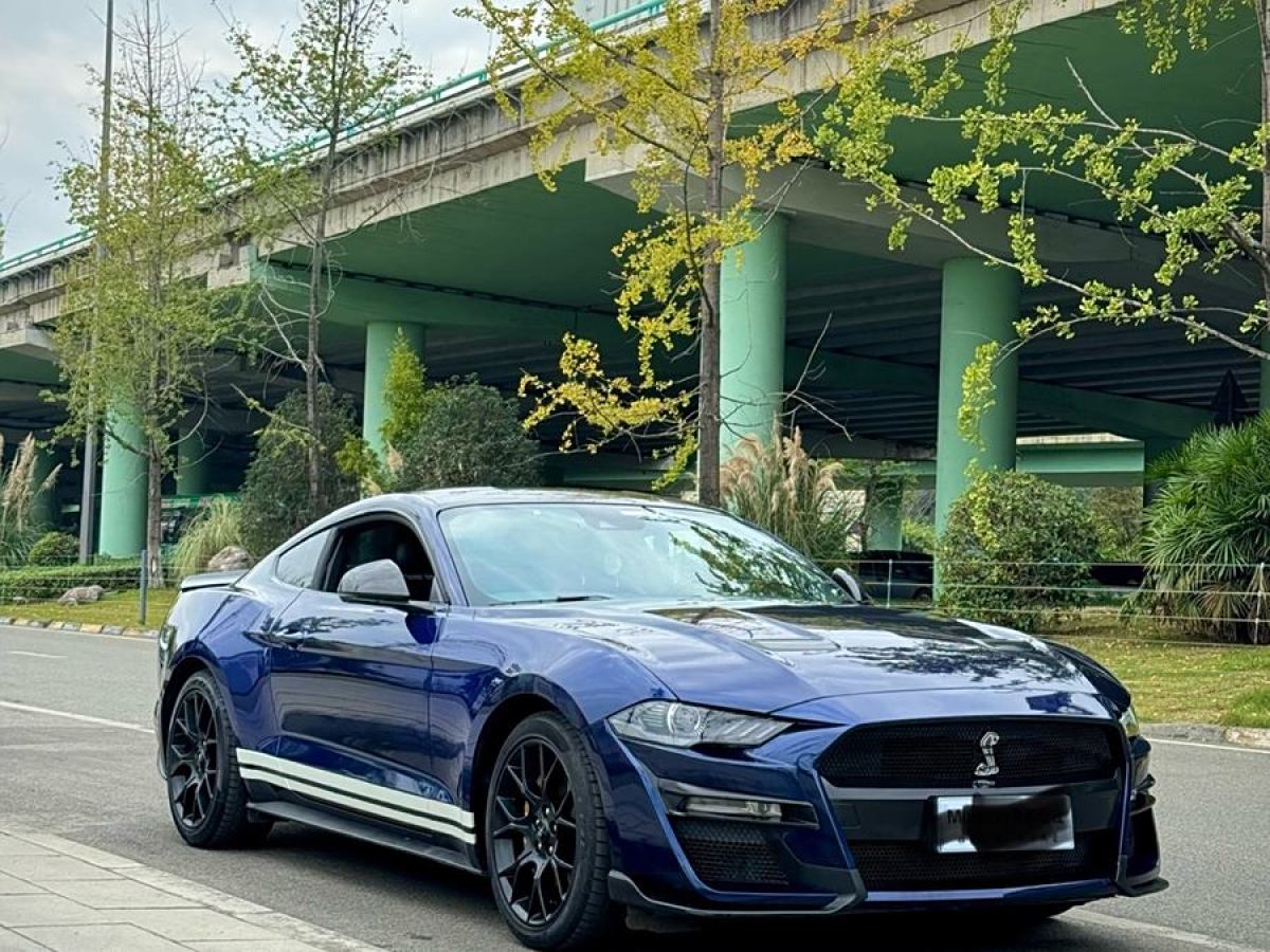 福特 Mustang  2020款 2.3L EcoBoost圖片