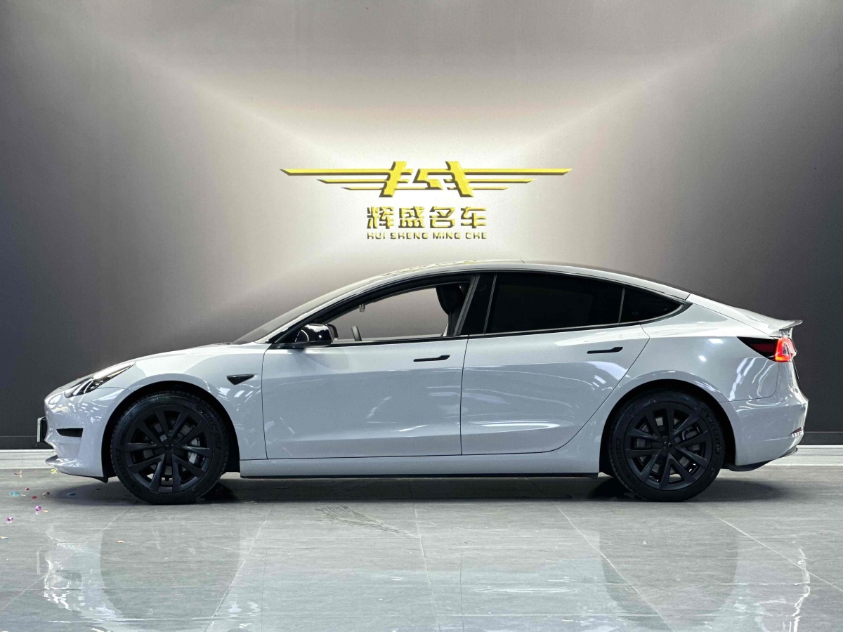 特斯拉 Model 3  2021款 標(biāo)準(zhǔn)續(xù)航后驅(qū)升級版 3D6圖片