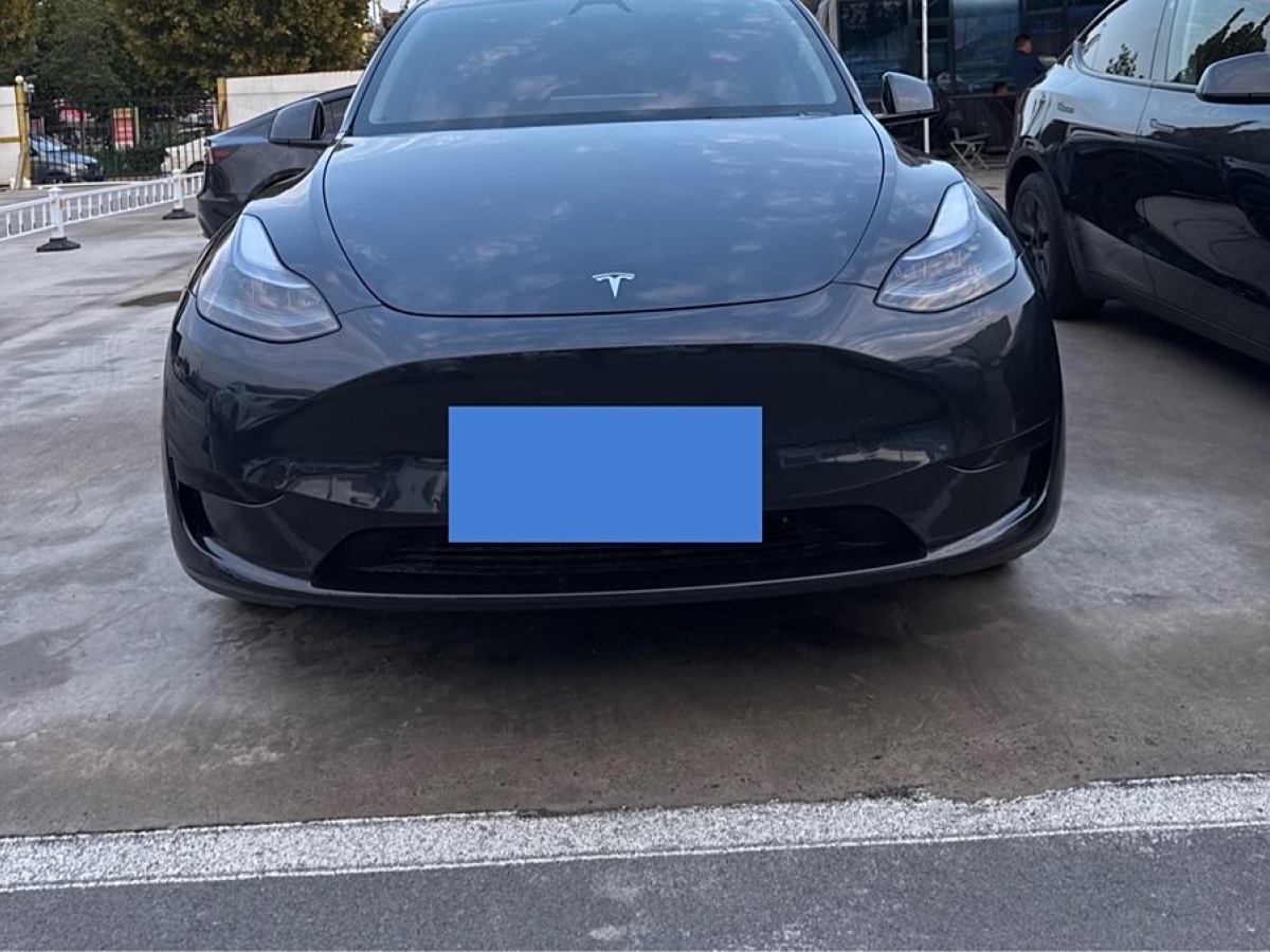 特斯拉 Model Y  2020款 改款 長(zhǎng)續(xù)航后輪驅(qū)動(dòng)版圖片