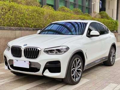 2020年11月 宝马 宝马X4(进口) xDrive25i M越野套装图片