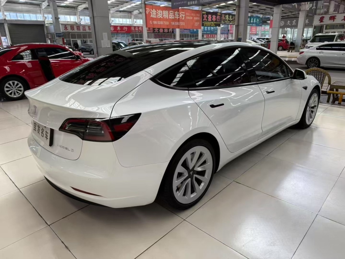 特斯拉 Model 3  2021款 標(biāo)準(zhǔn)續(xù)航后驅(qū)升級(jí)版圖片